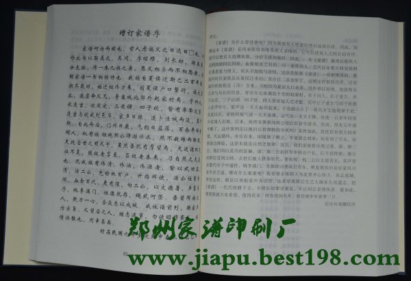 河南时氏家谱所采用的格式