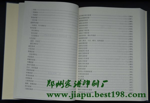 河南时氏家谱所采用的格式