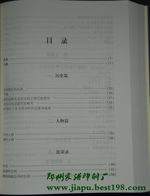 河南时氏家谱所采用的格式