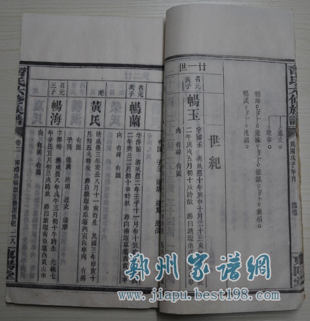 湖南益阳习氏族谱: 十九卷,首三卷,末三卷